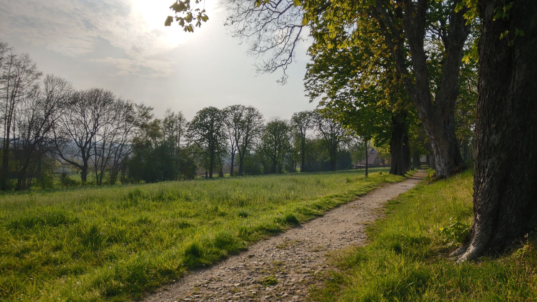 Kastanienallee