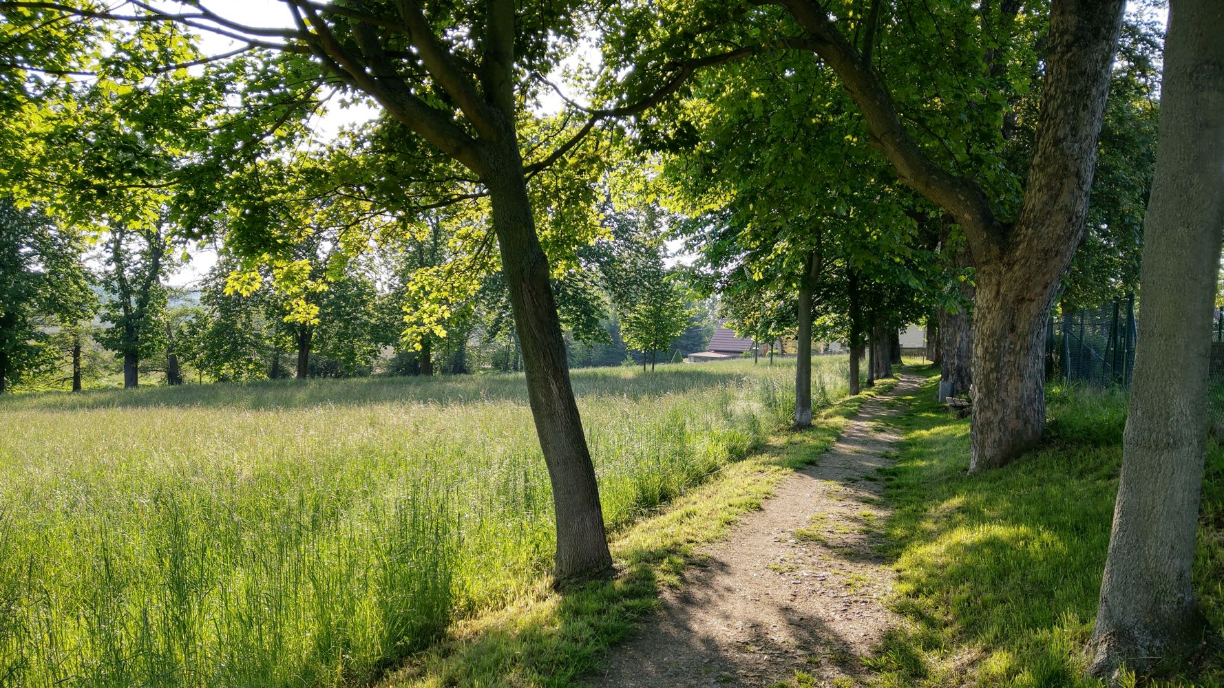 Kastanienallee